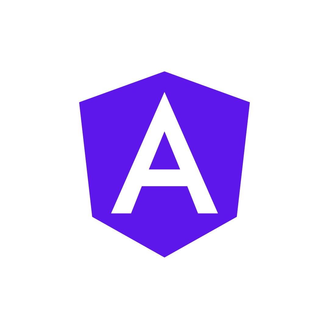 Angular Js Training